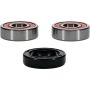 Pivot Works 25-1645-P Honda, Suzuki Wheel Bearing Kit Premium Bearings