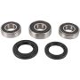 Pivot Works PWRWK-S17-400 Drz Rear Wheel Bearing Kt 00-07