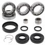 All Balls Racing 25-2100 15-23 Honda TRX420 FA IRS Differential Bearing & Seal Kit Front