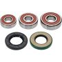 Pivot Works 25-1246-P Yamaha Wheel Bearing Kit Premium Bearings