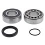 All Balls Racing 14-1071 15-17 Arctic Cat ZR 4000 EFI Jack Shaft Bearing & Seal Kit Upper Shaft