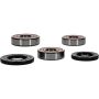 Pivot Works 25-1358-P Honda Wheel Bearing Kit Premium Bearings