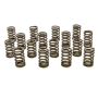PAC RACING SPRINGS PACPAC-1210X-16 1.245 Single Valve Springs - RPM Series (16
