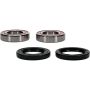 Pivot Works 25-1726-P Yamaha Wheel Bearing Kit Premium Bearings