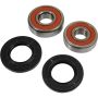 Pivot Works 25-1343-P Honda Wheel Bearing Kit Premium Bearings