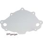 ALLSTAR PERFORMANCE ALL31153 Water Pump Back Plate Early SBF