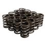 COMP Cams 26942-16 Single Spring w/ Damper - 1.440in OD 1.750IH