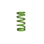 ISC Suspension Triple S Coilover Springs - ID65 160mm 8KG Rate - Pair