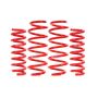 BMR Suspension SPD110R BMR 08-23 Dodge Challenger Demon Killer Drag Springs Set of 4 - Red