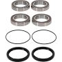 Pivot Works 25-1534-P Suzuki Wheel Bearing Kit Premium Bearings