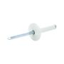 ALLSTAR PERFORMANCE ALL18031 Lg Hd Rivet White 200pk