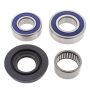 All Balls Racing 14-1025 1995 Ski-Doo Formula MX Z 454 Drive Shaft Bearing & Seal Kit Lower Shaft - Track