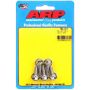 ARP ARP760-1017 S/S Bolt Kit - 6pt. (5) 6mm x 1.00 x 16mm