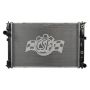 CSF 3421 Radiator