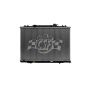CSF 3644 Radiator