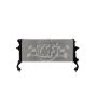 CSF 3870 Radiator