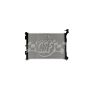 CSF 3873 Radiator