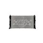 CSF 3901 Radiator