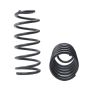 Suspension (68305 ST MUSCLE CAR SPRING)