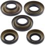 All Balls Racing 25-2047-5 03-05 Honda TRX650 Rincon Differential Seal Only Kit Rear