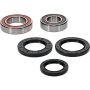 Pivot Works 25-1134-P Yamaha Wheel Bearing Kit Premium Bearings