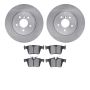 Dynamic Friction 6502-20199 Rotor Kit
