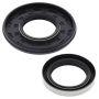 Vertex Pistons 55108 Vertex Gaskets 85-87 Polaris 600 Oil Seal Kit