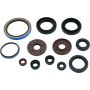 QuadBoss 564644 09-10 Arctic Cat 1000 TRV Oil Seal Set