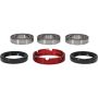 Pivot Works 25-1250-P Wheel Bearing Kit