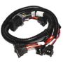 FAST Harness EZ-EFI Gen2 Main