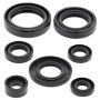 Vertex Pistons 822197 Vertex Gaskets 86-90 Yamaha BW80 Oil Seal Kit
