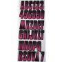 Hardline BEBKG300 Boat Lettering Registration Kit 3 in. - 300 Berry/Black