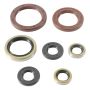 Vertex Pistons 822372 Vertex Gaskets 21-23 Gas-Gas EX250F Oil Seal Kit