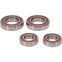 Pivot Works 25-1808-P Ducati Wheel Bearing Kit Premium Bearings