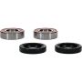 Pivot Works 25-1510-P Wheel Bearing Kit