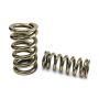 PROFORM PFMBB1901 Calibrated Test Spring Kit: Heavy/Medium/Light