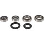Pivot Works PWRWS-K28-000 06-09 Kawasaki VN2000 PW Rear Wheel Bearing Kit
