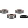 Pivot Works 25-1370-P Harley Wheel Bearing Kit Premium Bearings