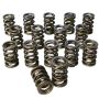 Howards Racing Components 98441 (Vss) Springs