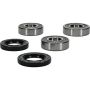 Pivot Works 25-1154-P Wheel Bearing Kit