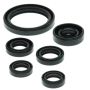 Vertex Pistons 822238 Vertex Gaskets 04-09 Yamaha YFZ450 Oil Seal Kit