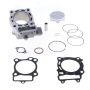 Athena P400210100023 Big Bore Cylinder Kits