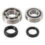 Hot Rods K046 04-05 Honda TRX 450 ER 450cc Main Bearing & Seal Kit