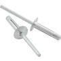 ALLSTAR PERFORMANCE ALL18183 Md Hd Rivet 250Pk Silver Flange Type Alum Mandrel