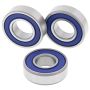 All Balls Racing 25-1711 2021 Gas-Gas MC E5 Wheel Bearing Kit Rear
