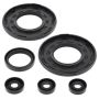 Vertex Pistons 55181 Vertex Gaskets 1998 Ski-Doo Formula III Oil Seal Kit
