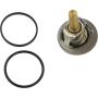 CRP PRODUCTS CTN0063 Rein OE Quality Thermostat Insert