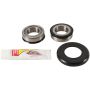 Pivot Works PWSSK-S12-000 13-22 Suzuki RMZ250 PW Steering Stem Bearing Kit