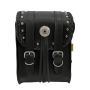 Willie & Max 58431-00 Universal Warrior Sissy Bar Bag (8 in L x 10 in W x 4.5 in H) - Black
