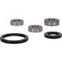 Pivot Works 25-1098-P Polaris Wheel Bearing Kit Premium Bearings